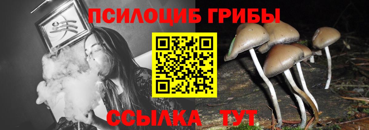 Чехов  Псилоцибиновые грибы MAGIC MUSHROOMS  Вход с VPN 